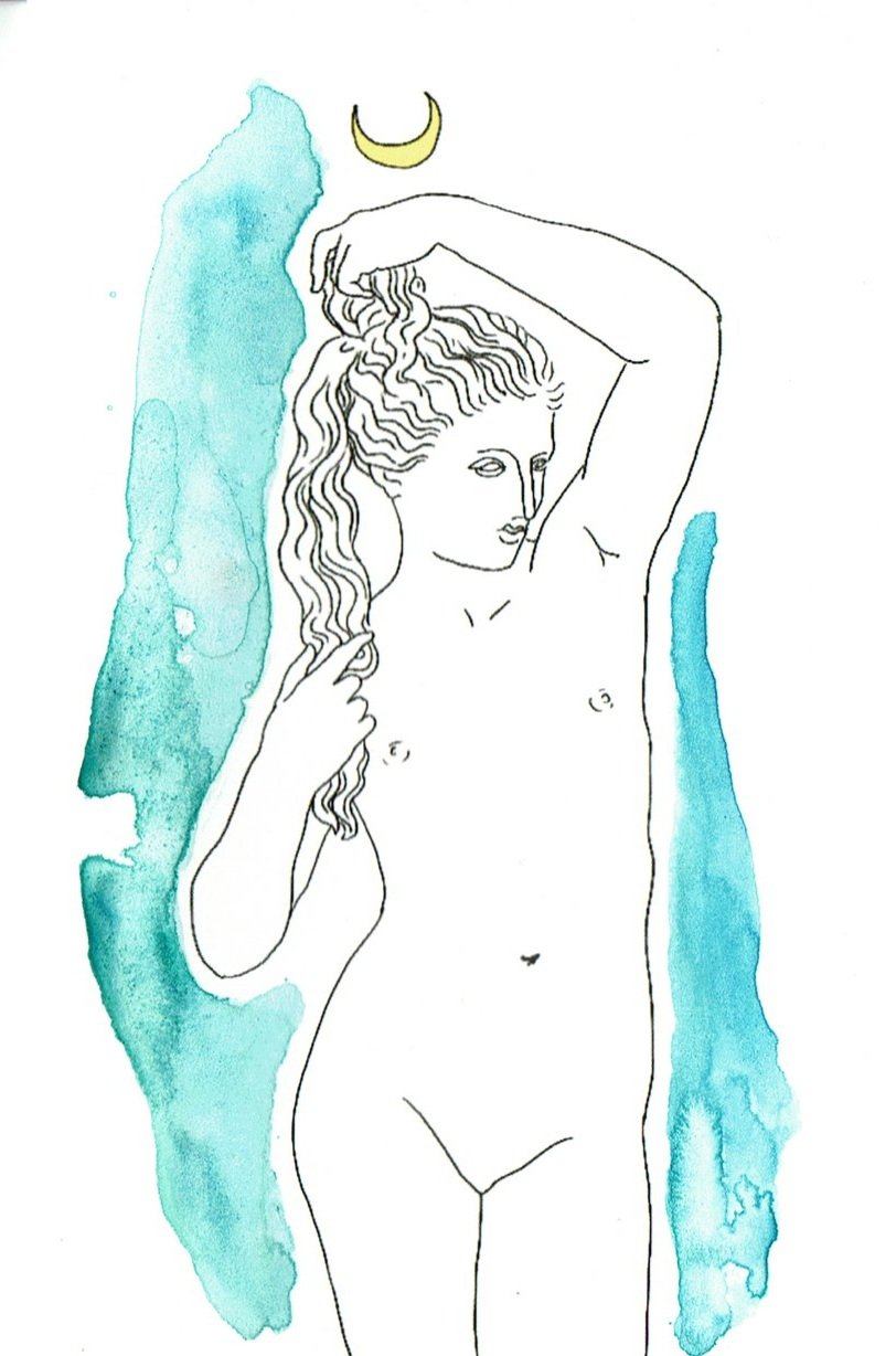 Venus+logo+with+watercolor.jpg