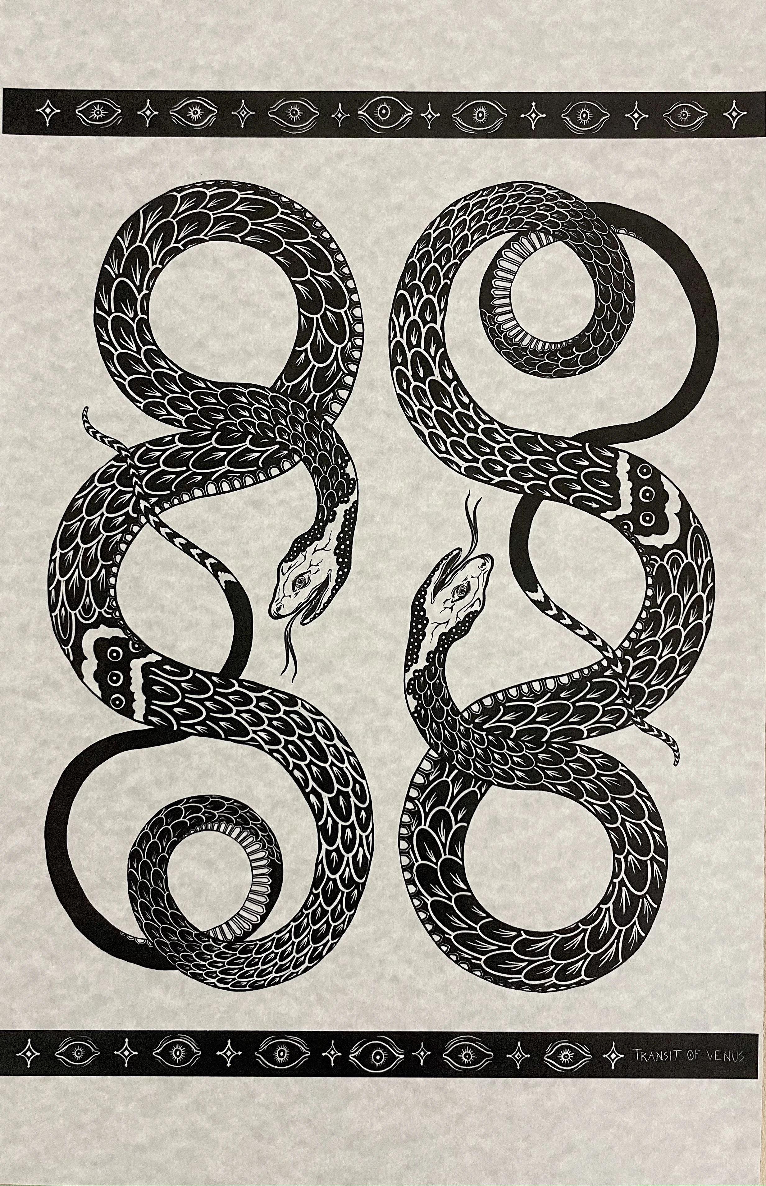 Double Snake on Parchment Paper.JPG