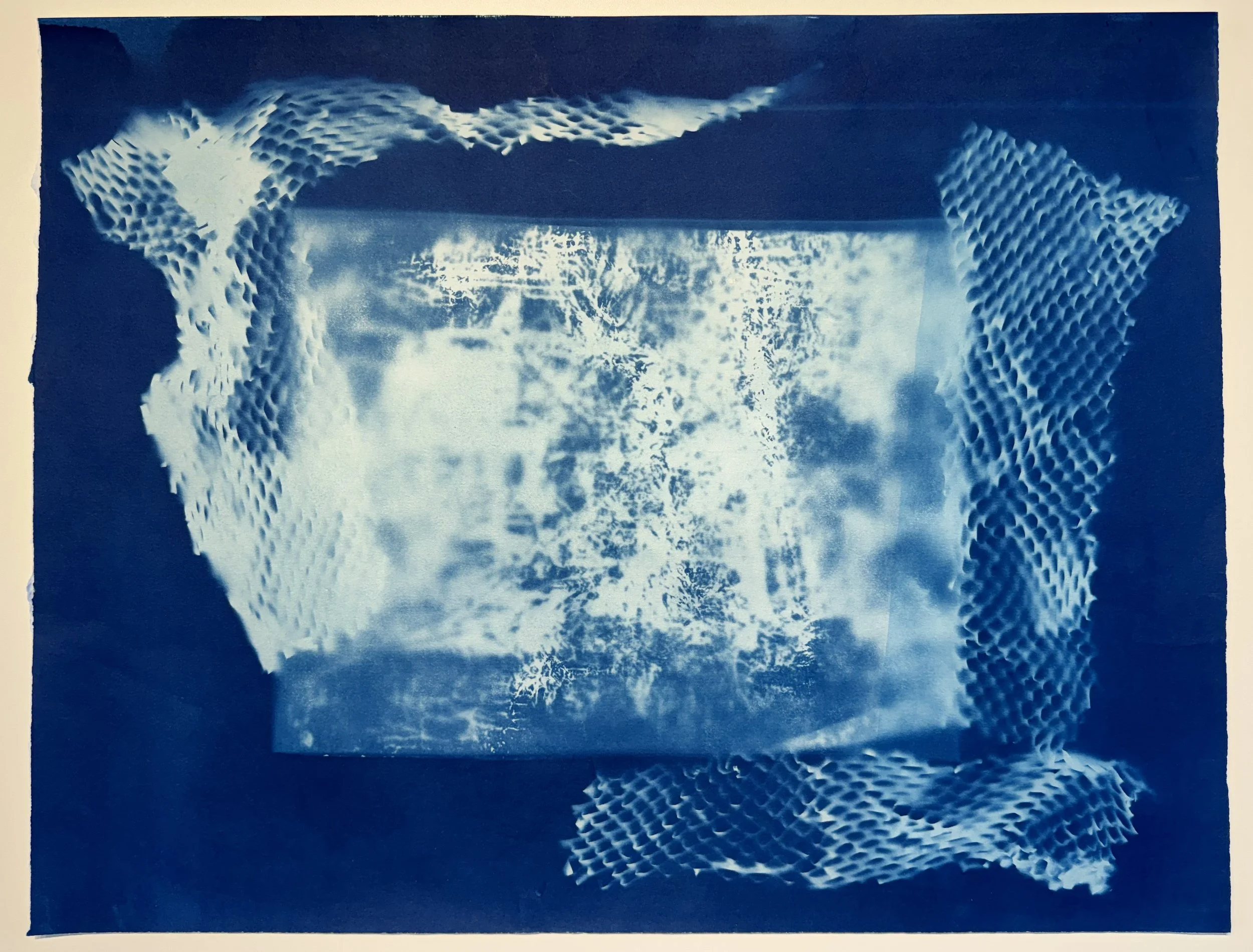 Occlusion, 2024, Cyanotype, 18 x 24 inches, Price upon request
