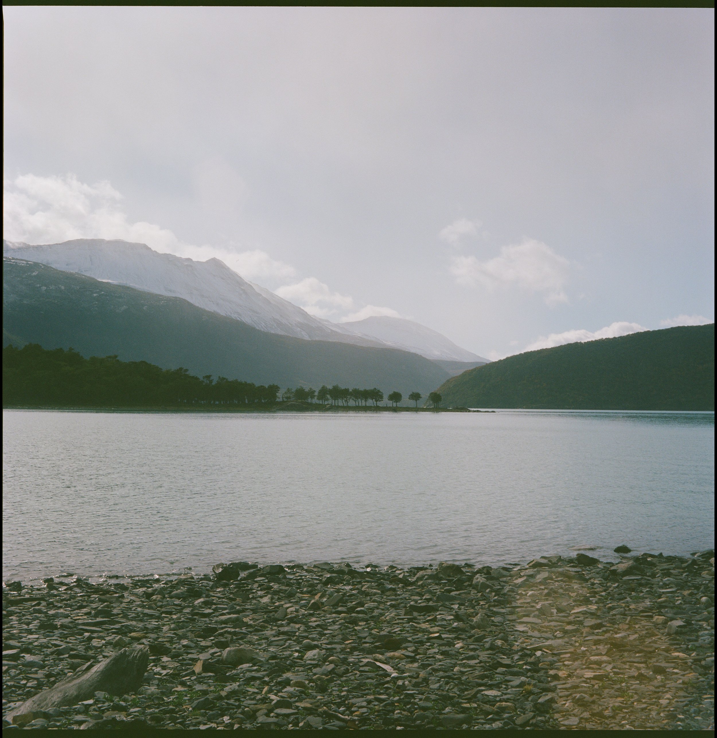 I could live with those palm trees forever (Aonikenk homeland, now known as Los Glaciares National Park, Argentina)