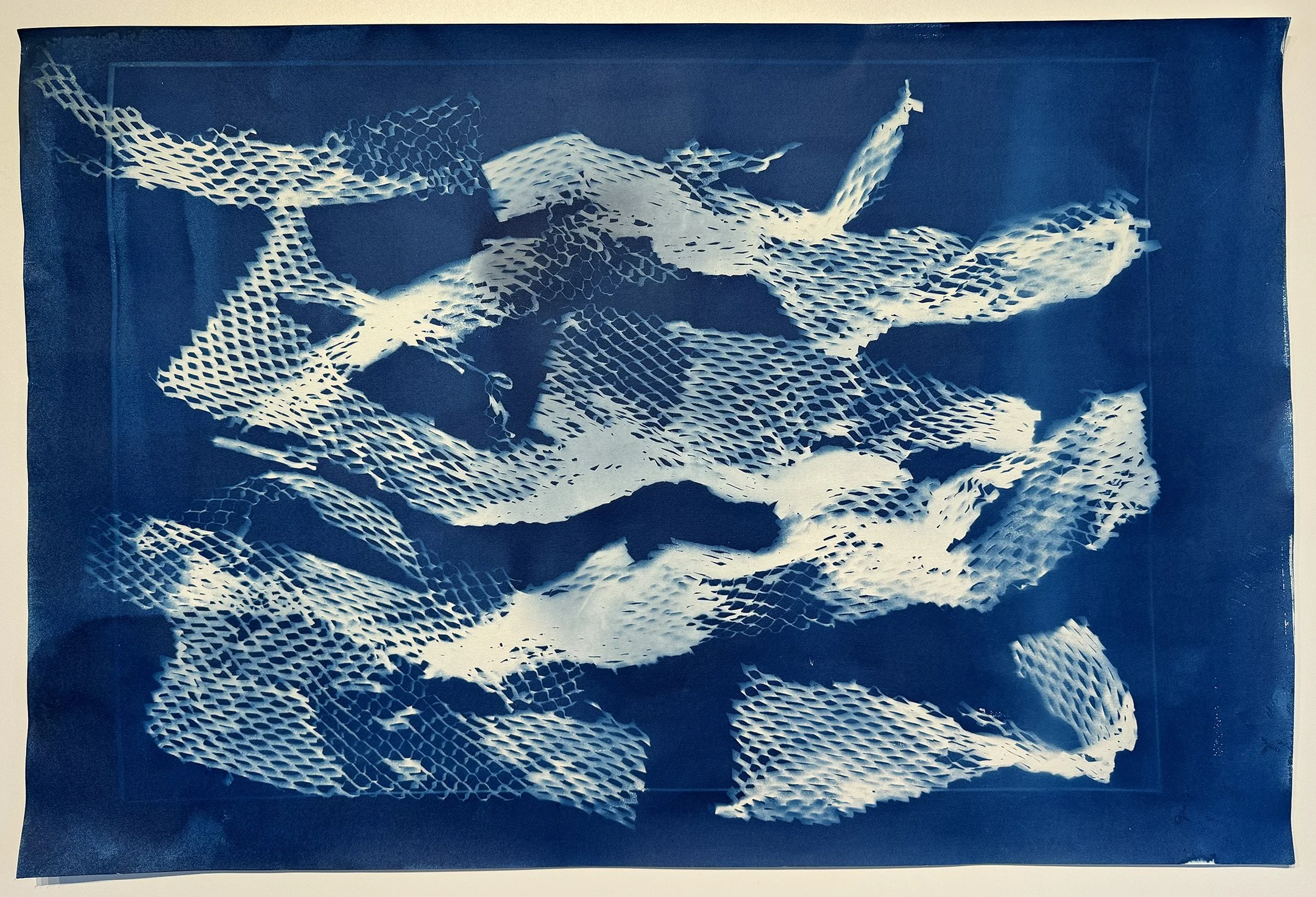 Repurpose, 2024, Cyanotype, 20 x 30 inches, Price upon request