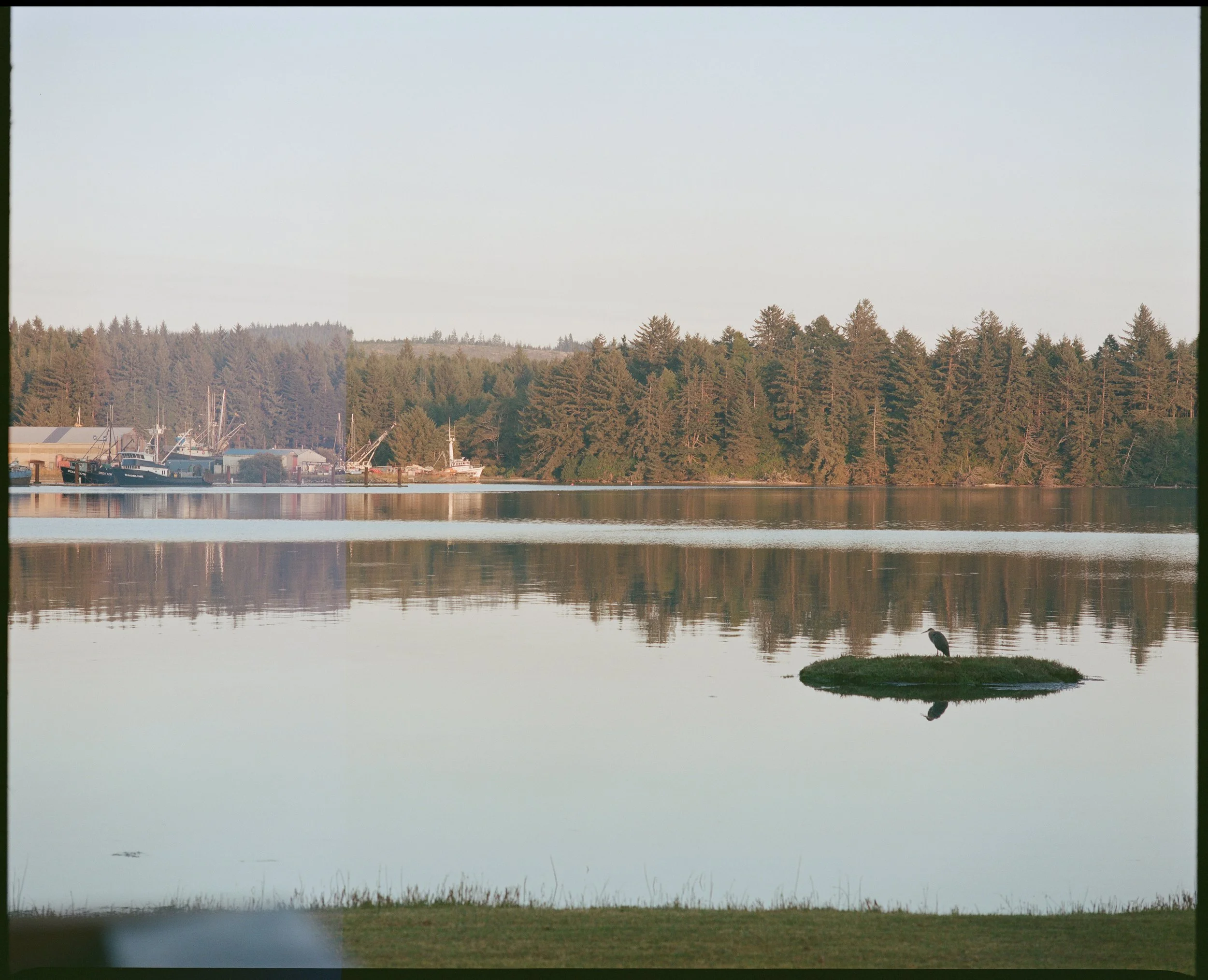 43.3672° N, 124.2131° W: Heron Glitch