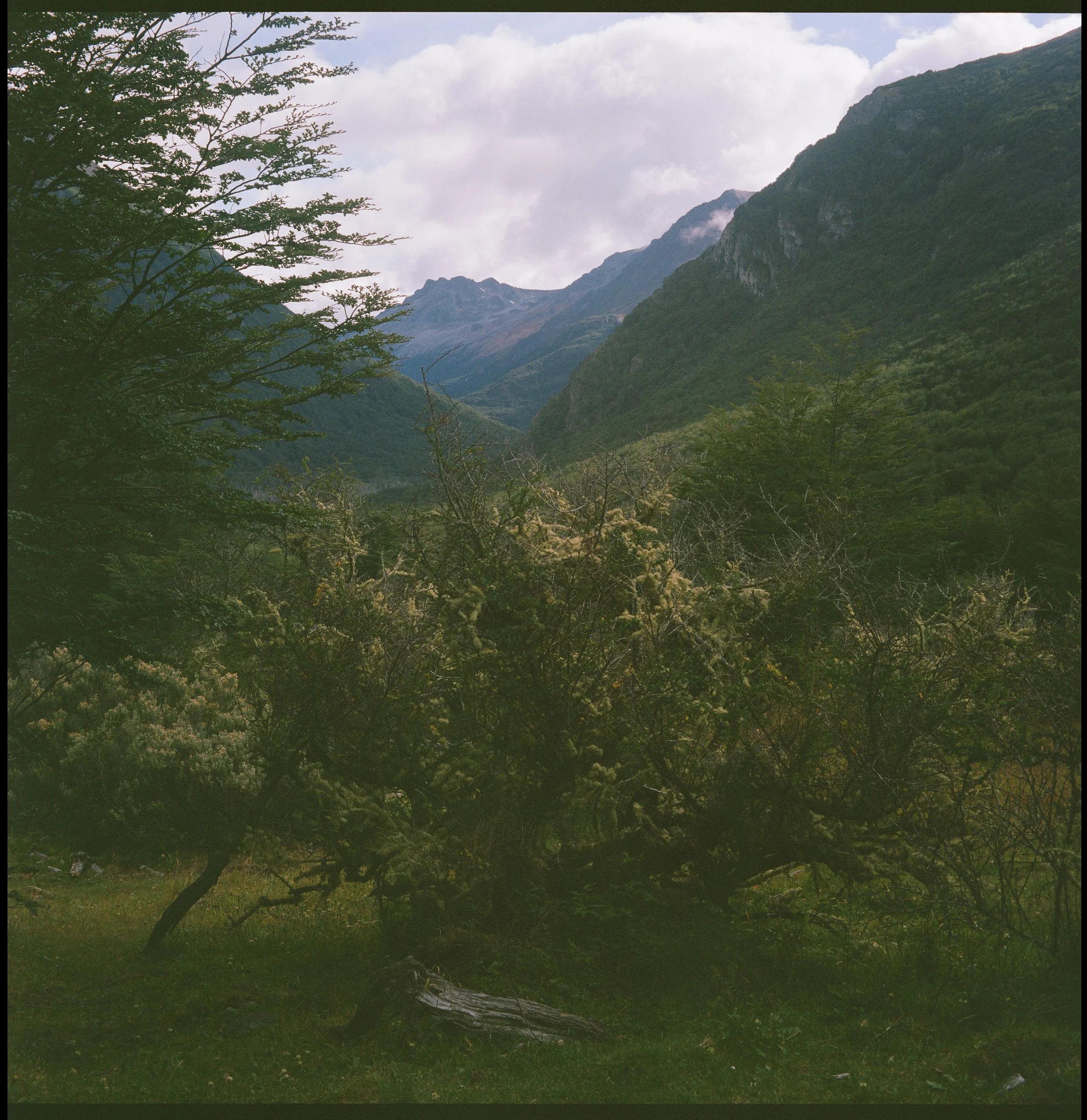 The greens and blues are different here (Arakur, Ushuaia, Argentina)
