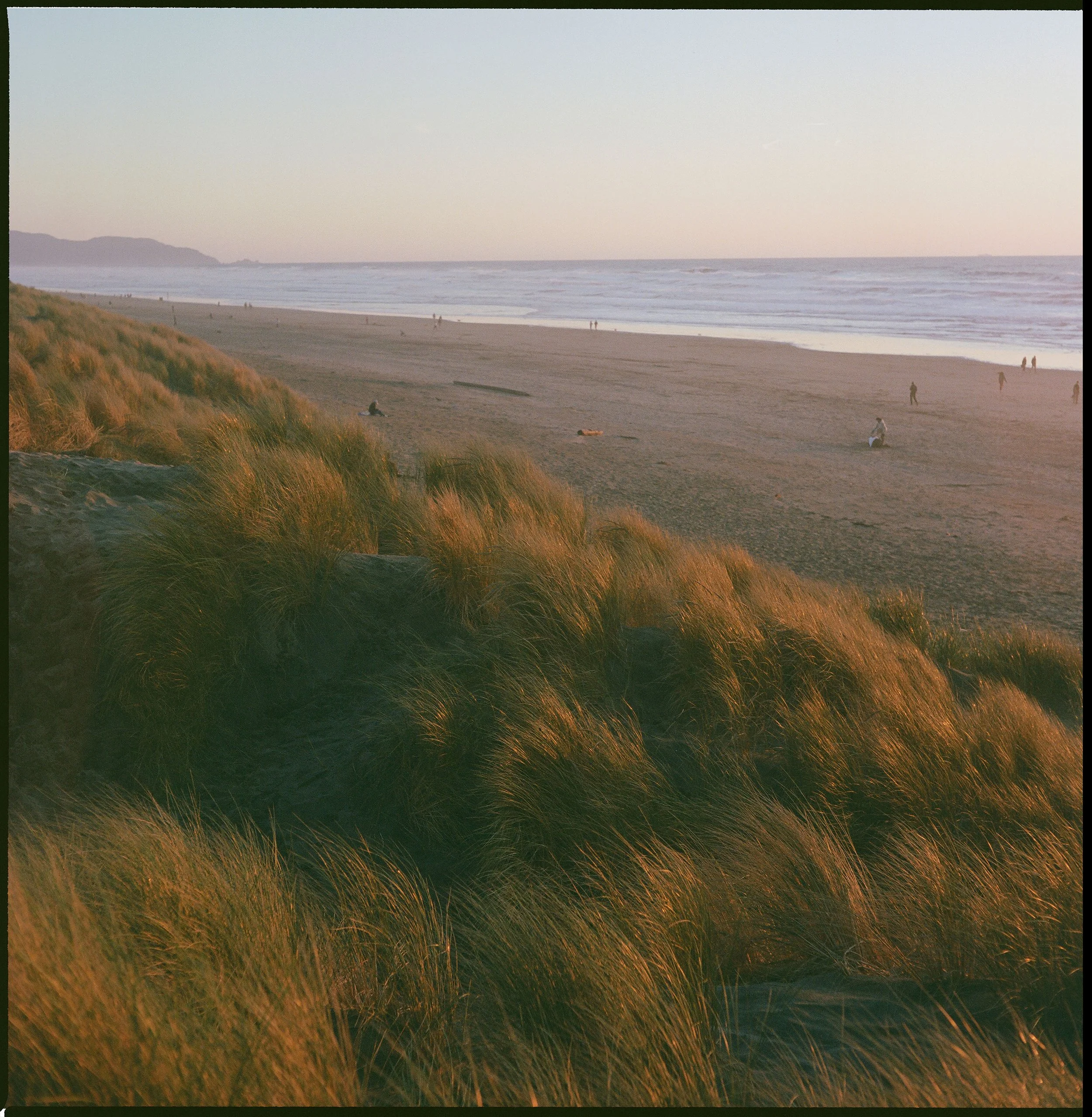 Outer Sunset Golden Hour (2023)