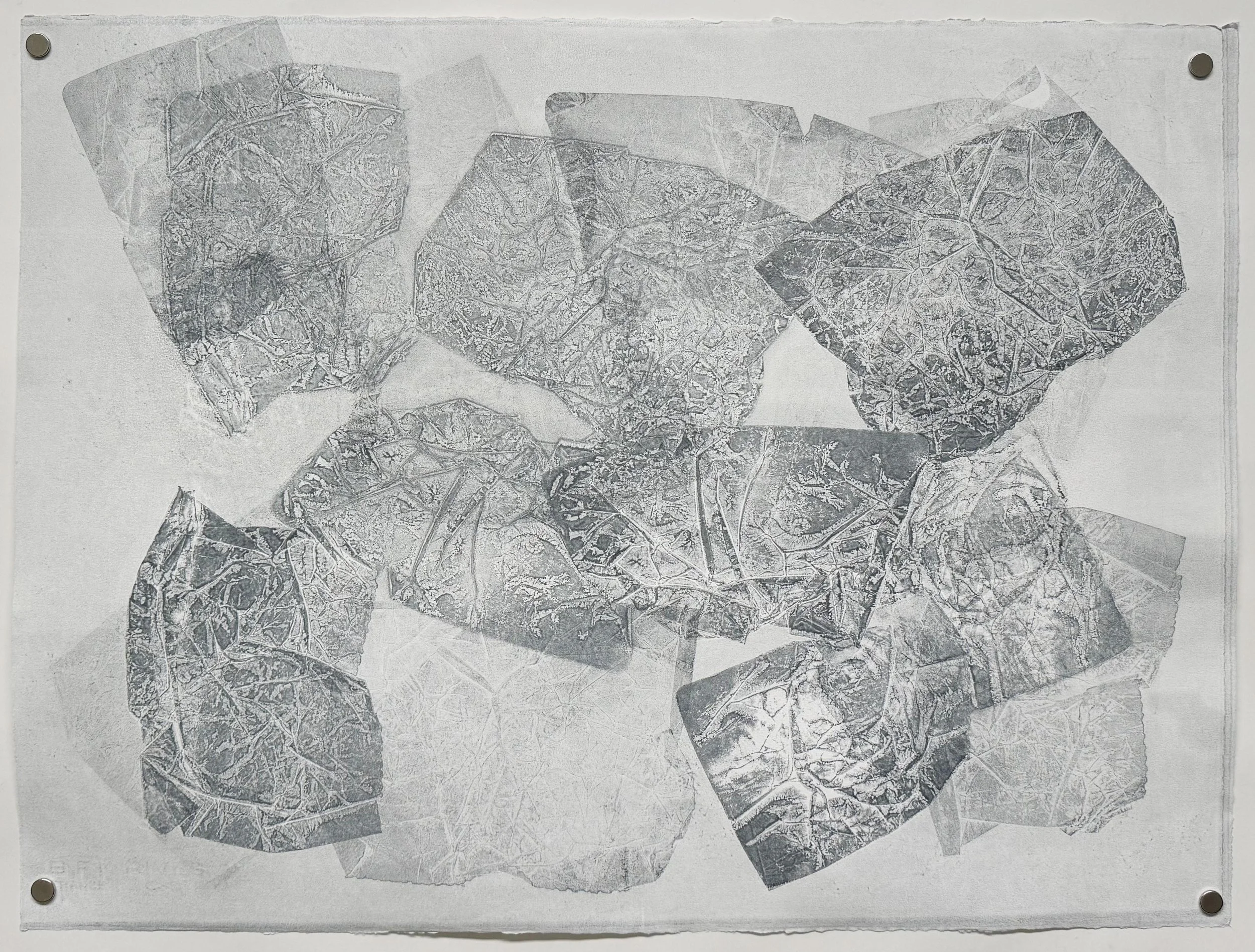 Greying Search, 2024, Soy monotype on paper, 22 x 30 inches, Price upon request