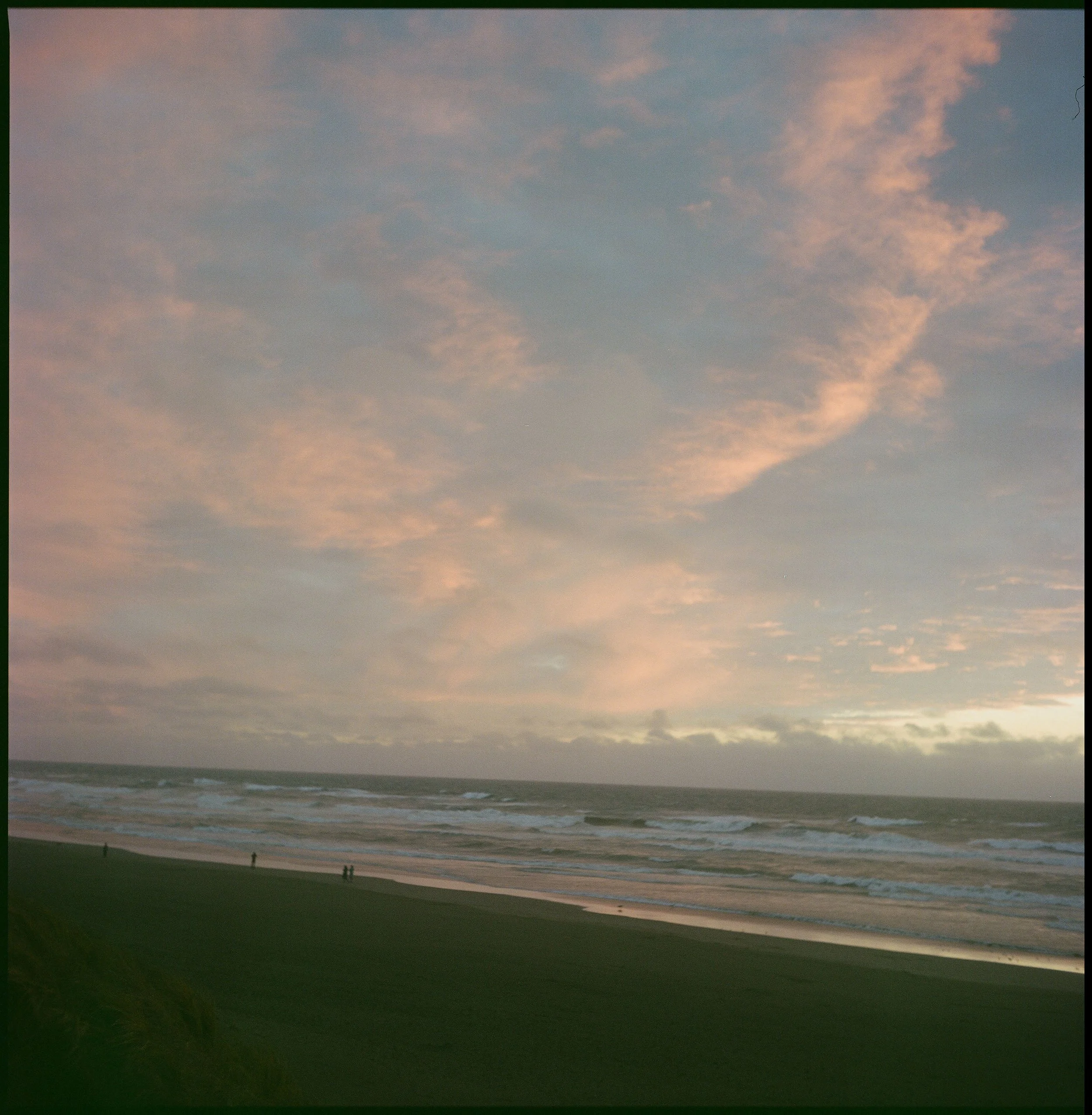 Ocean Beach Pink (2025)