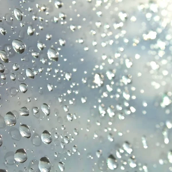 Image above: Water droplets dancing on panes of glass are a personal favorite meditative pastime during road trips.