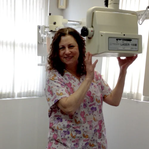 rvc orthodontics assistant
