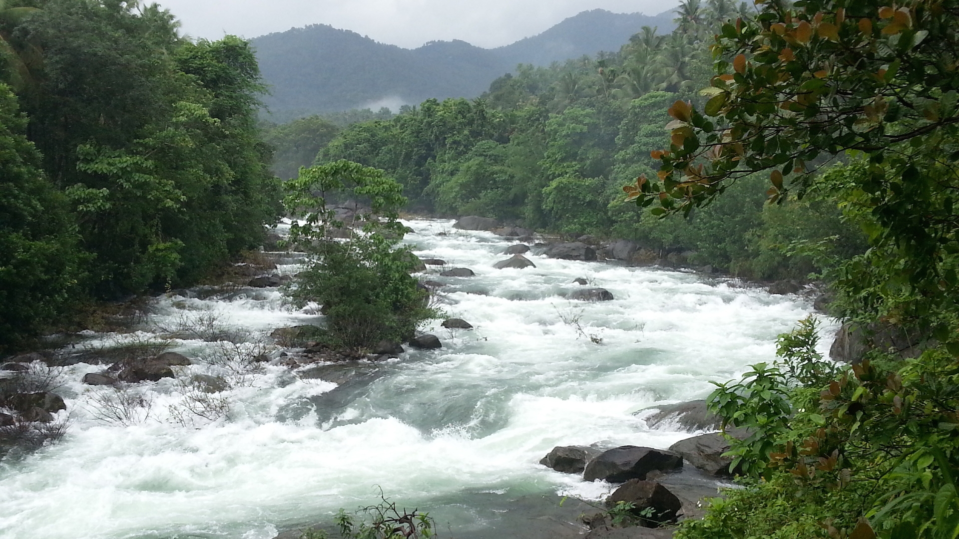 20130623_103504.jpg