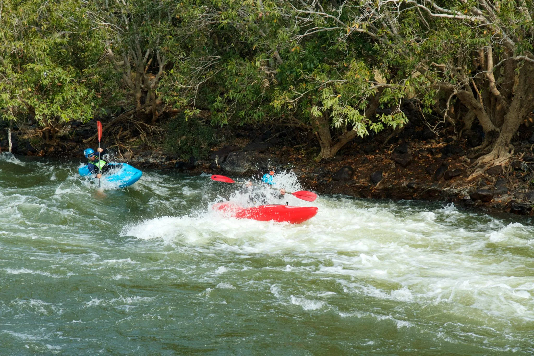 Wildwater Discovery on the Cauvery (Beginner)