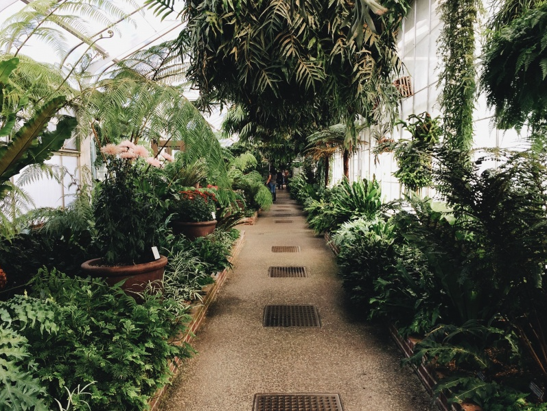 Dave took me to Longwood Gardens and it was beyond dreamy.