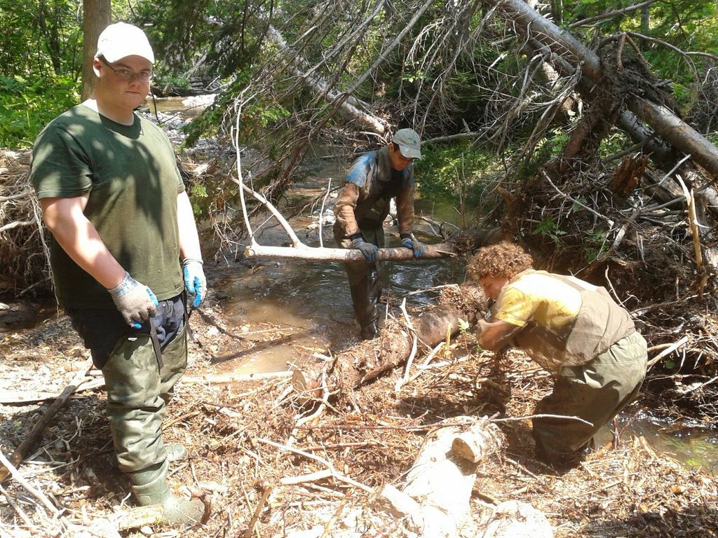Member of the Chéticamp River Salmon Association restoration team: Jeremy Camus (left), Kyle Lefort (centre) and Antoine Aucoin (right) take apart a blockage on Aucoin's brook.