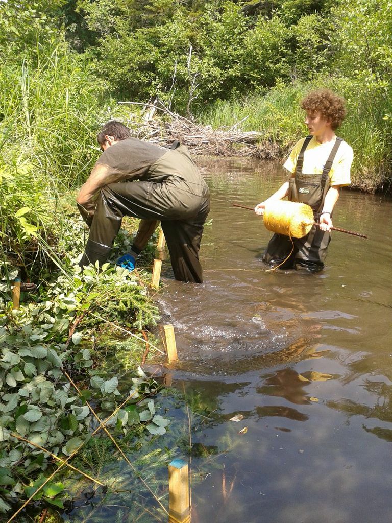 Kyle Lefort (left) and Antoine Aucoin (right) tie down a brush mat on Aucoin's Brook. 