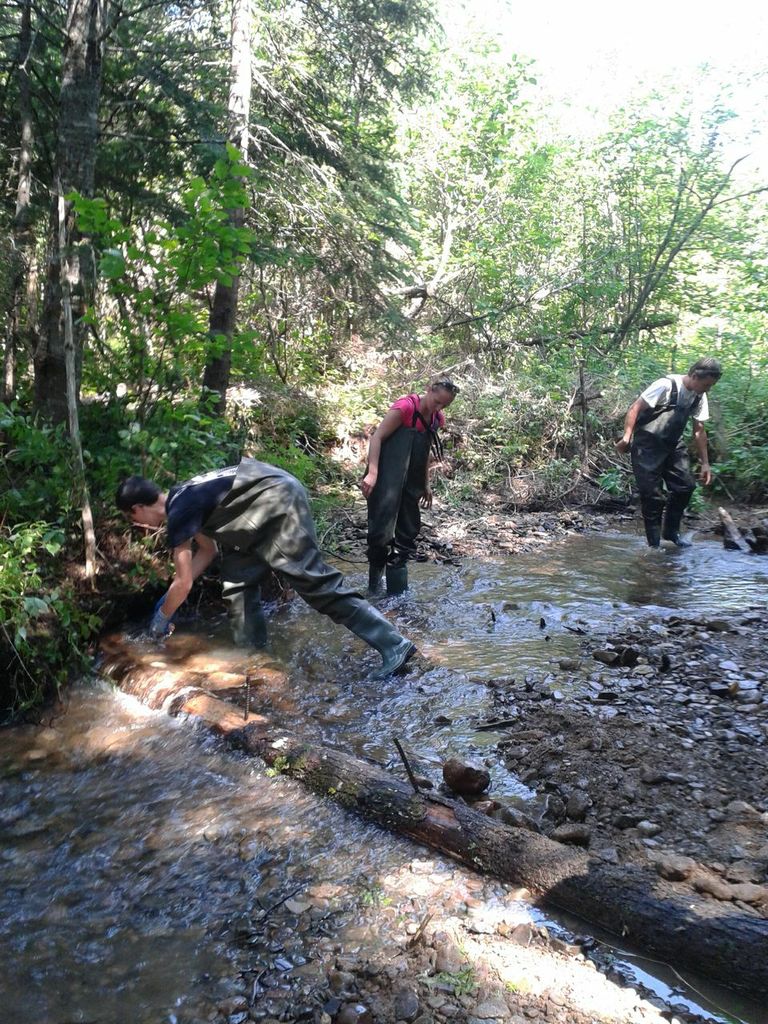 Kyle Lefort installe un billot creuseur à une session d'entrainement « Adopt-a-Stream »
à Mabou.
Normal
0
false
false
false
EN-US
JA
X-NONE
/* Style Definitions */
table.MsoNormalTable
{mso-style-name:"Table Normal";
mso-tstyle-rowband-size:0;
mso-tstyle-colband-size:0;
mso-style-noshow:yes;
mso-style-priority:99;
mso-style-parent:"";
mso-padding-alt:0cm 5.4pt 0cm 5.4pt;
mso-para-margin:0cm;
mso-para-margin-bottom:.0001pt;
mso-pagination:widow-orphan;
font-size:12.0pt;
font-family:Cambria;
mso-ascii-font-family:Cambria;
mso-ascii-theme-font:minor-latin;
mso-hansi-font-family:Cambria;
mso-hansi-theme-font:minor-latin;}