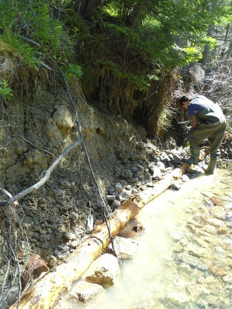 Kyle Lefort installs a bank log to protect an eroding bank on Aucoin's brook.