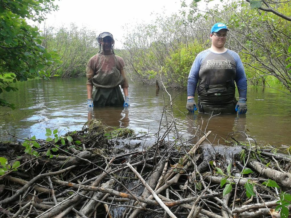 Kyle Lefort (gauche) et Jeremy Camus (droite) derrière un barrage de castor sur le ruisseau Aucoin.