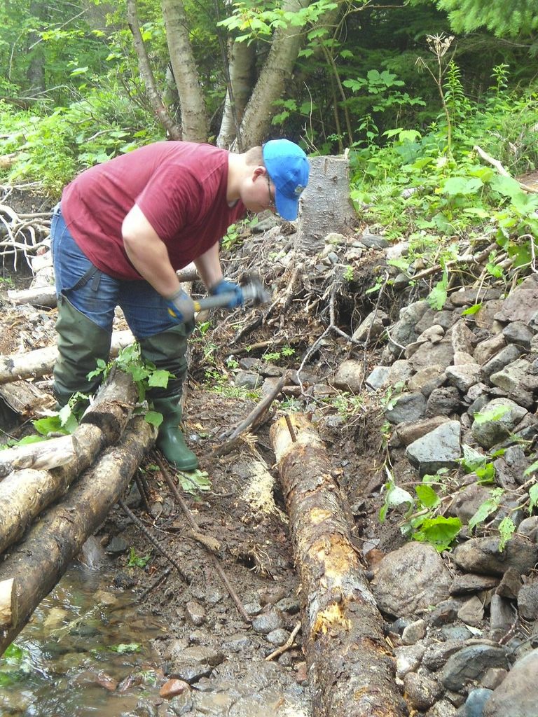 Jeremy Camus installs a bank log on Aucoin's brook.