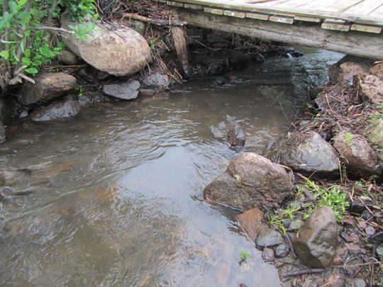 After taking the beaver dam out- it is no longer a barrier, and fish will be able to pass through again!