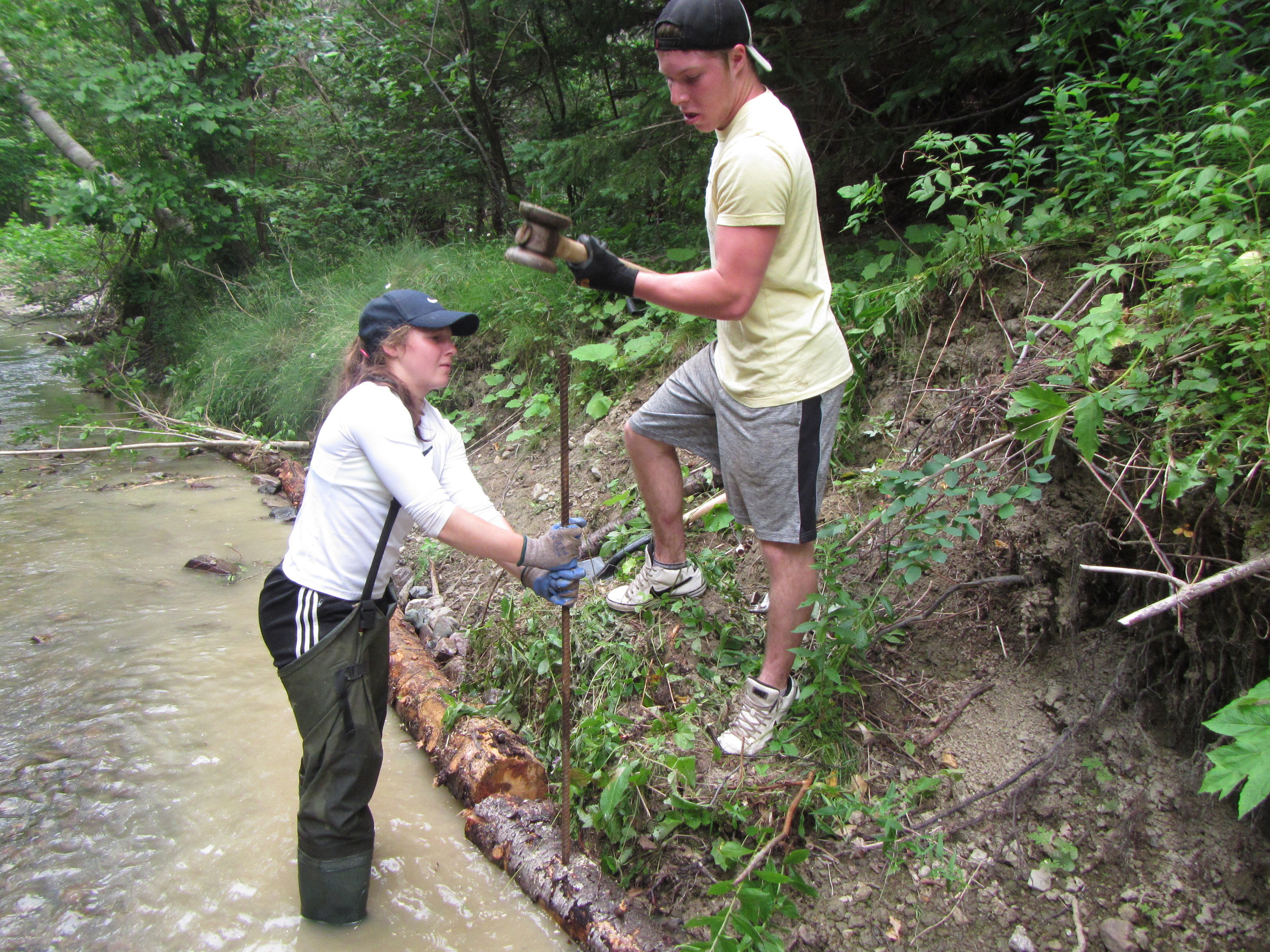 Rachelle Aucoin and Logan LaPierre securing the bank log in place.