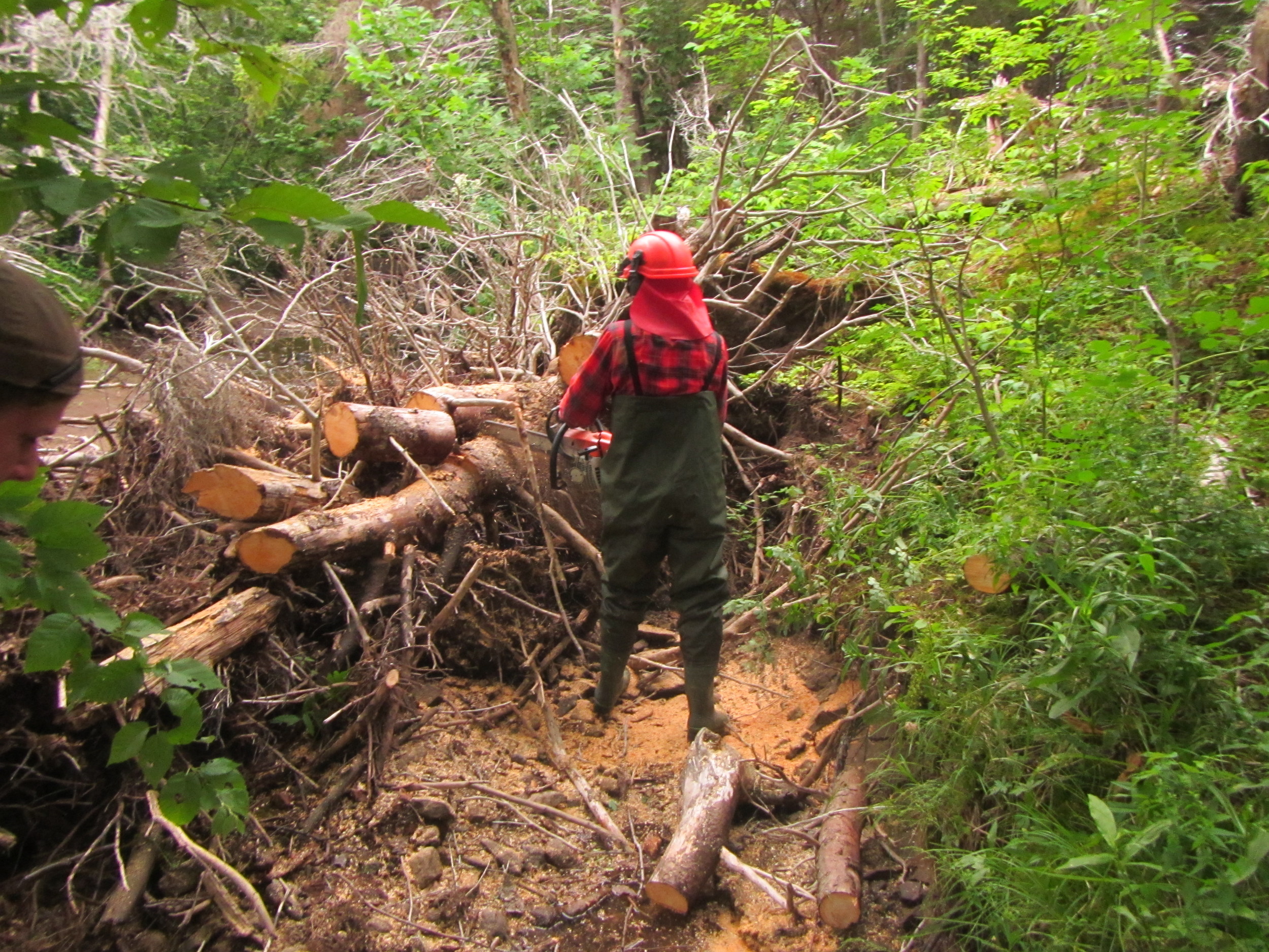Albert cutting away at the blockage.