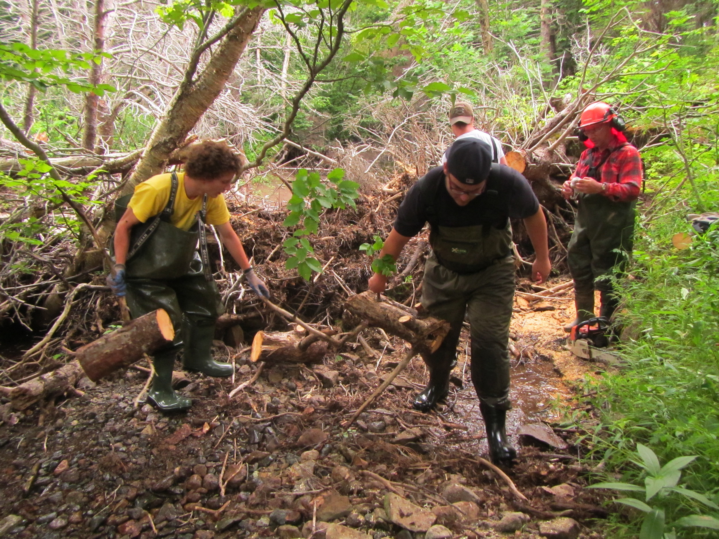 Antoine and Matt Burns removing the logs.