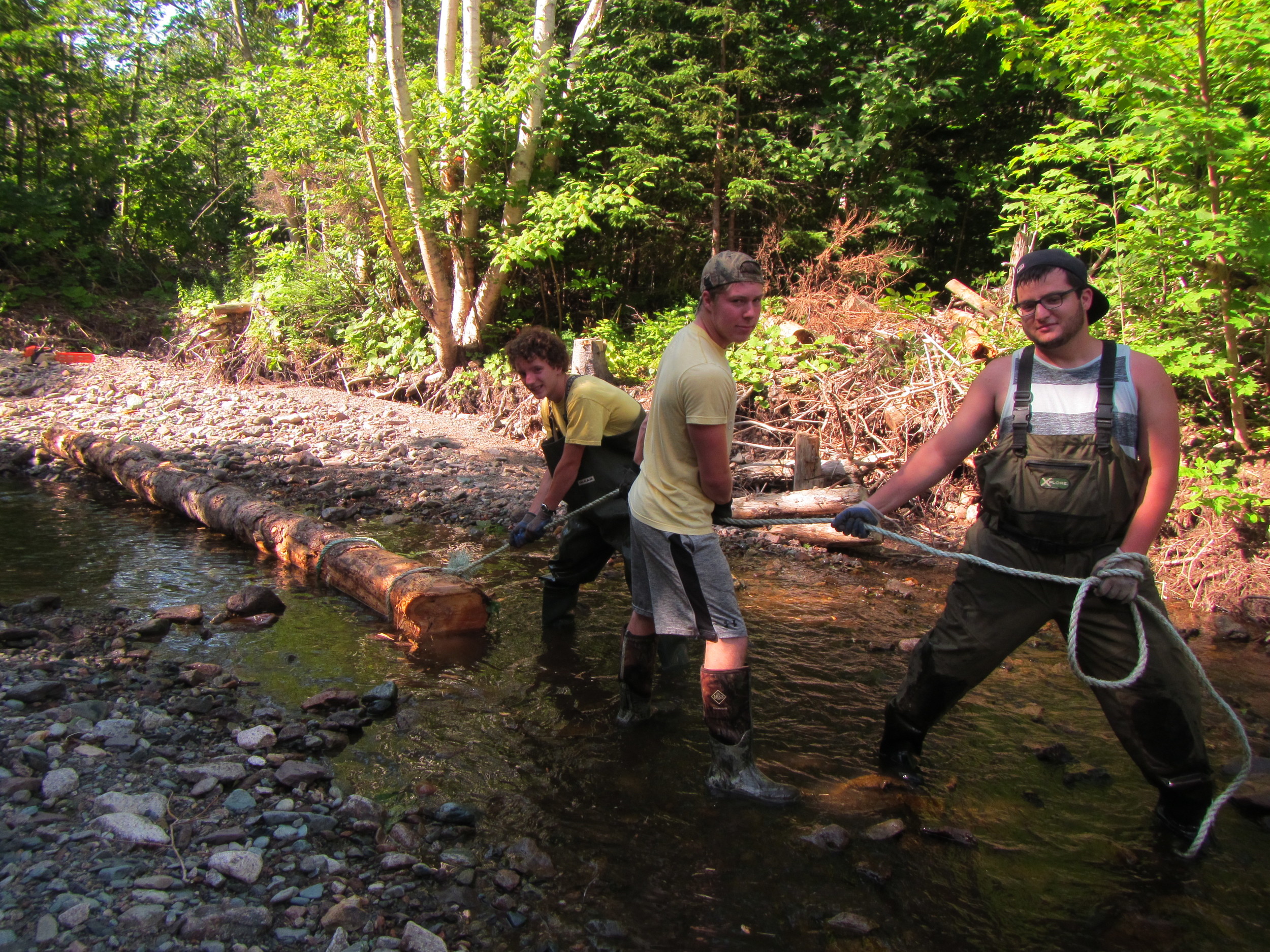 Dragging a part of the soon-to-be log wall into place.