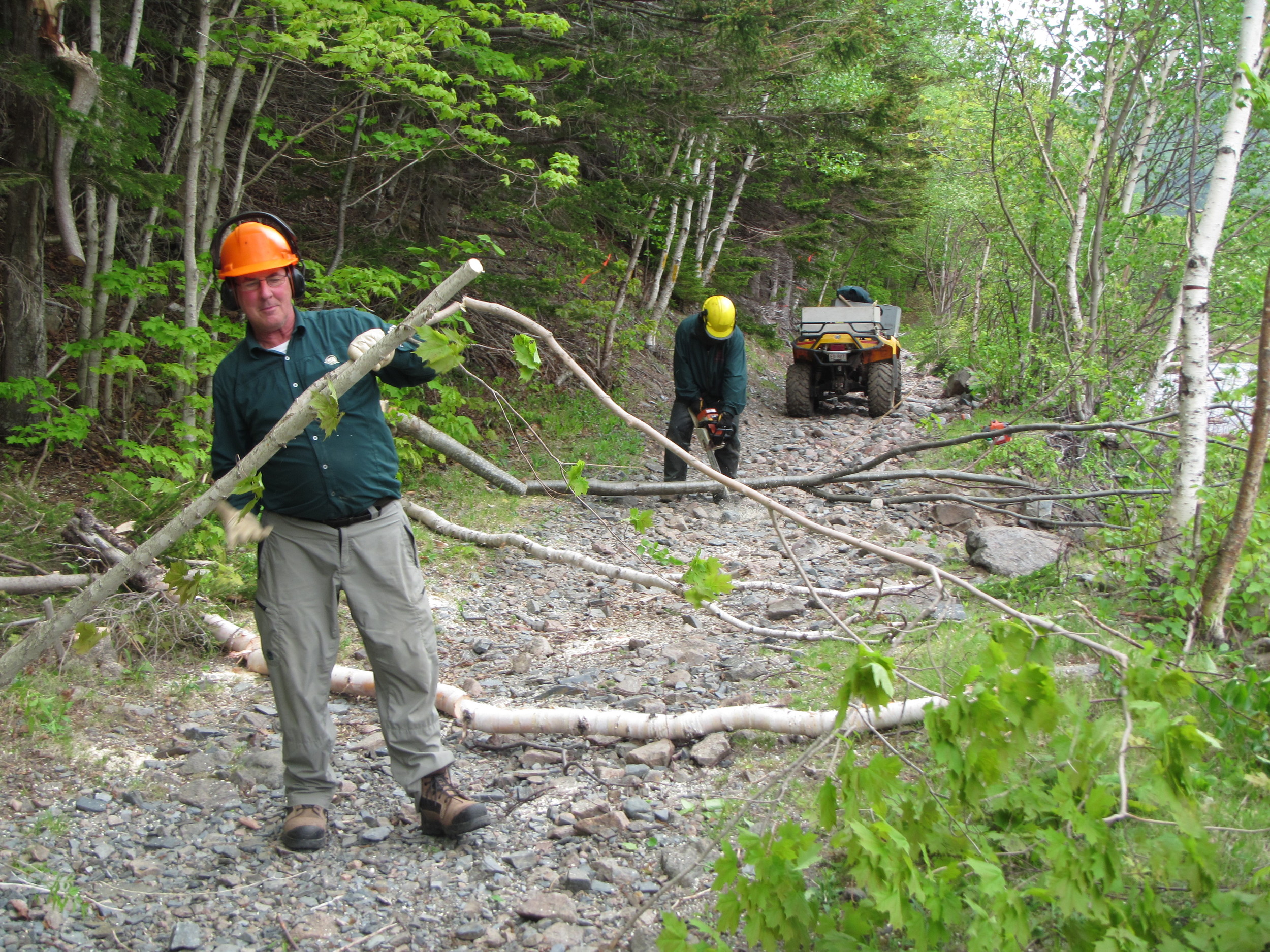 Removing a few trees to make room for the trucks.