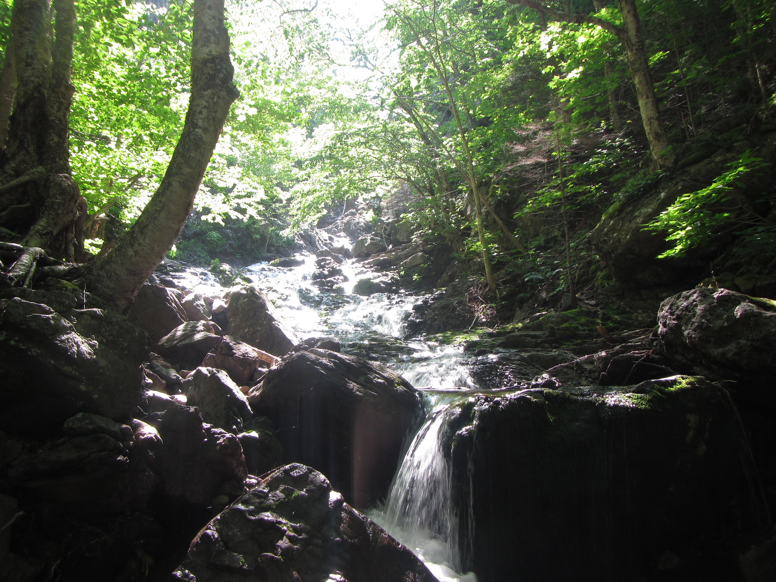 A stunning view from our first monitoring site at Aucoin Brook!