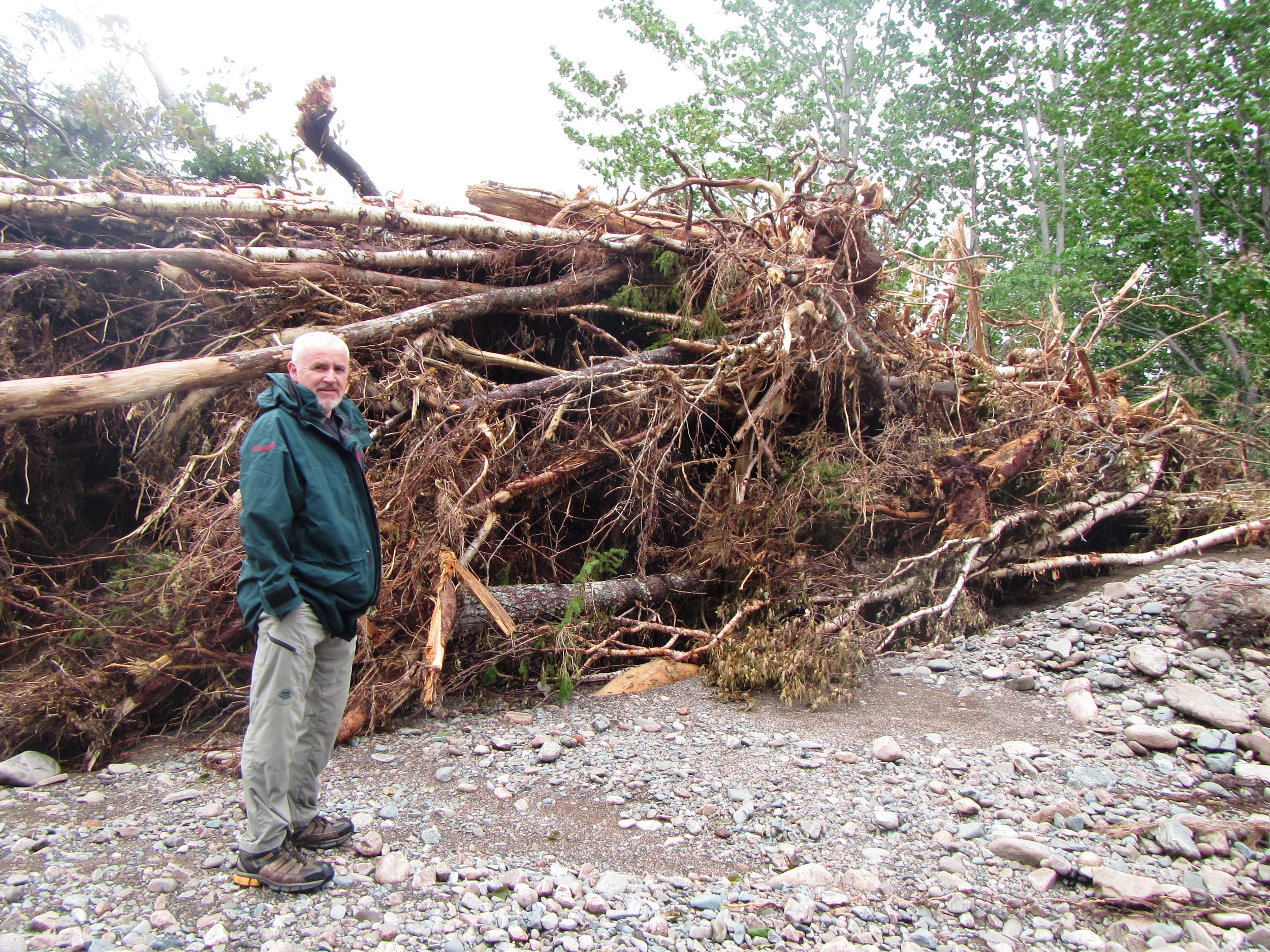 Archie Doucette, with Parks Canada, standing beside a large pile of debris near the outlet of Robert's Brook