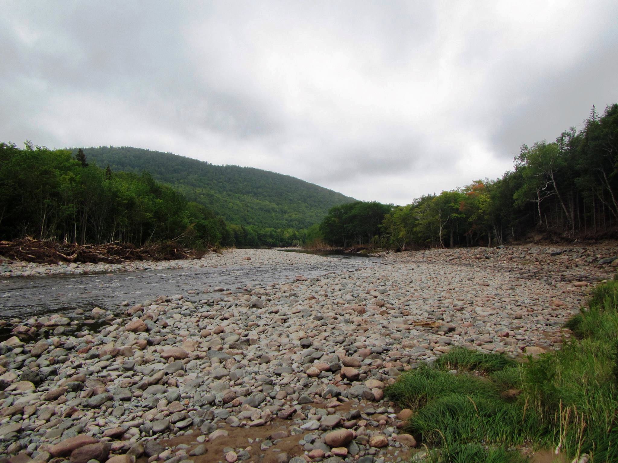 Work site above Fence Pool (looking downstream) after the major flood event on August 22nd. Notice the loss of the mid-channel bar, development of the bar on the eastern (near) bank, and the narrowing and deepening of the main channel.