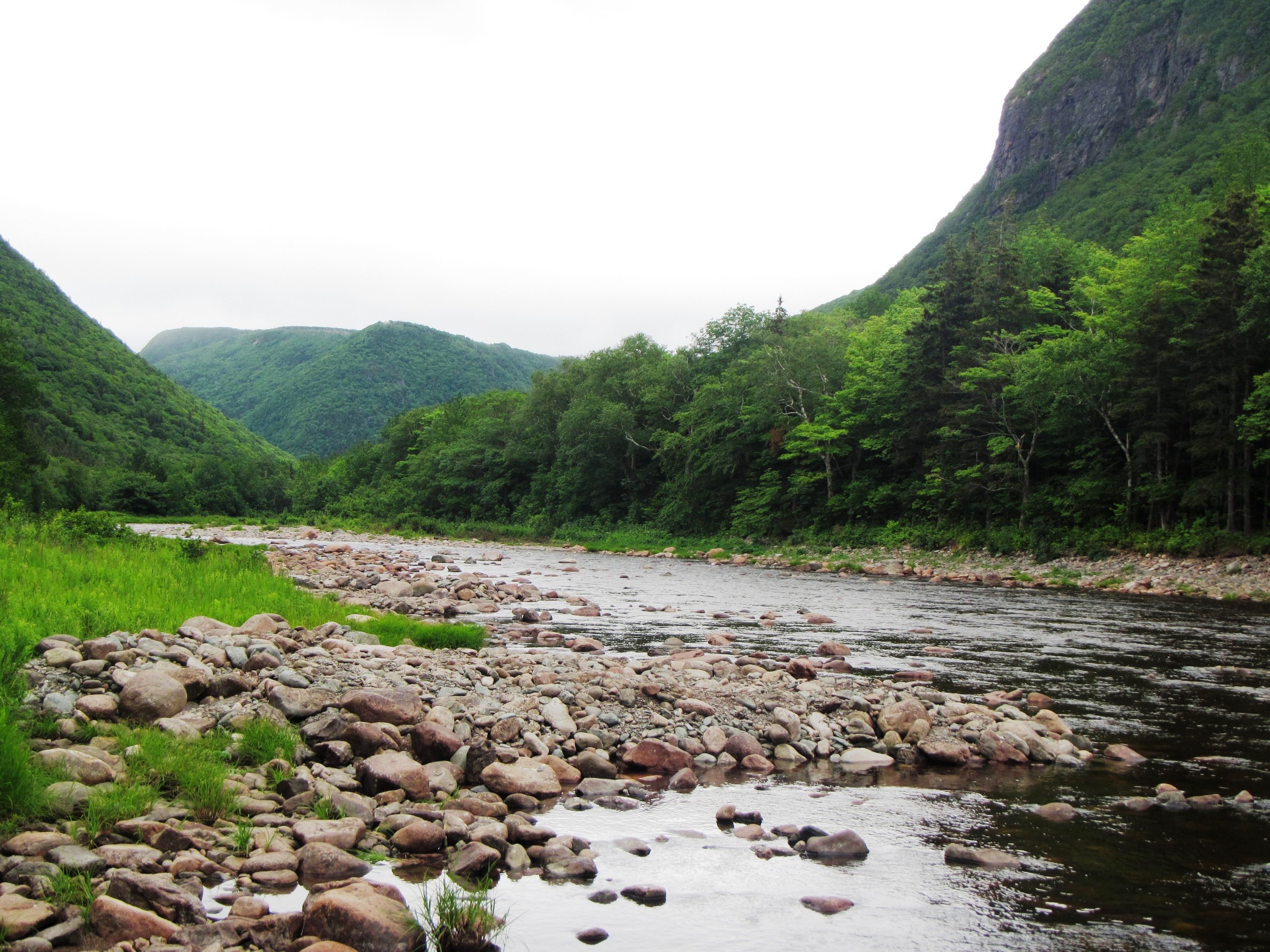 Work site below Fence Pool (looking upstream) after the installation of rock retarding bars this summer.