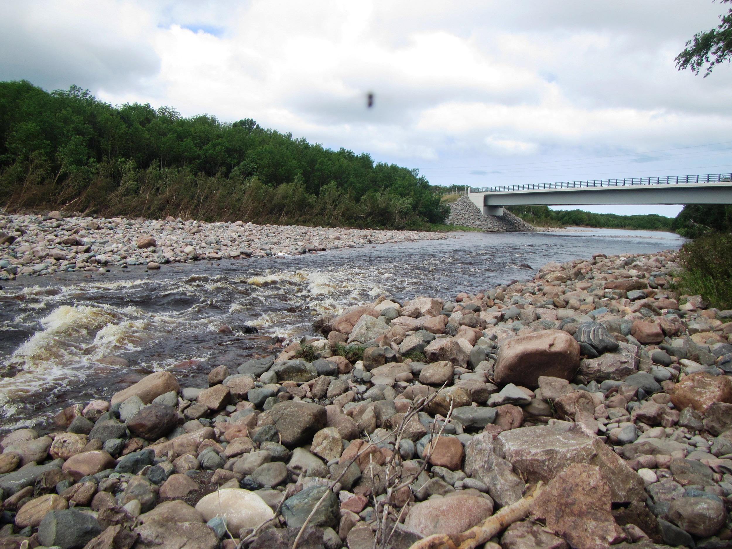 Work site above the Cabot Trail bridge (looking downstream) after the August, 2015 flood event. The flooding further narrowed the channel here (the instream structures had already contributed to the narrowing and deepening of the channel in this site) and led to the formation of another new pool.