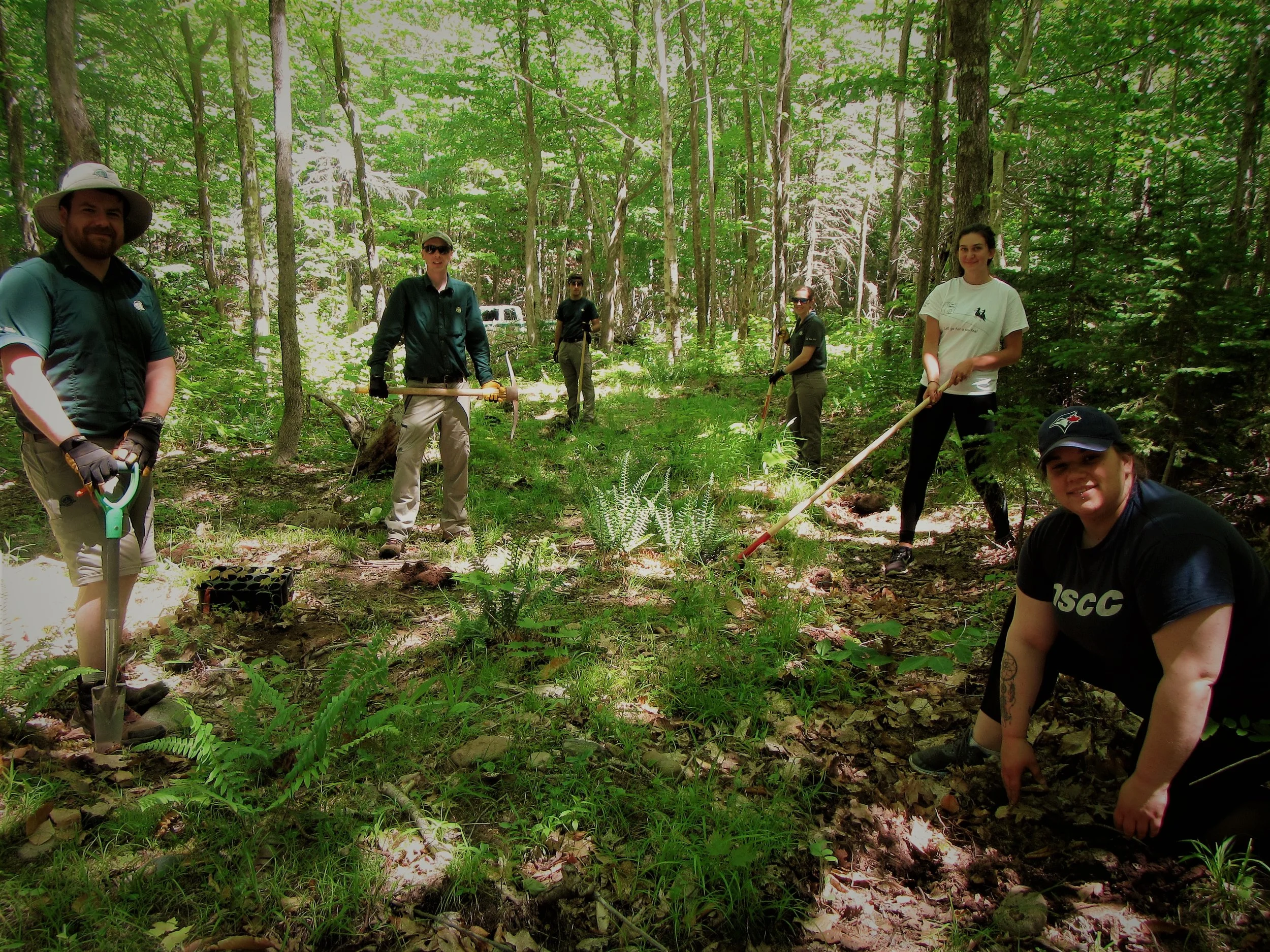 CRSA and Parks Planting Partnership.jpg