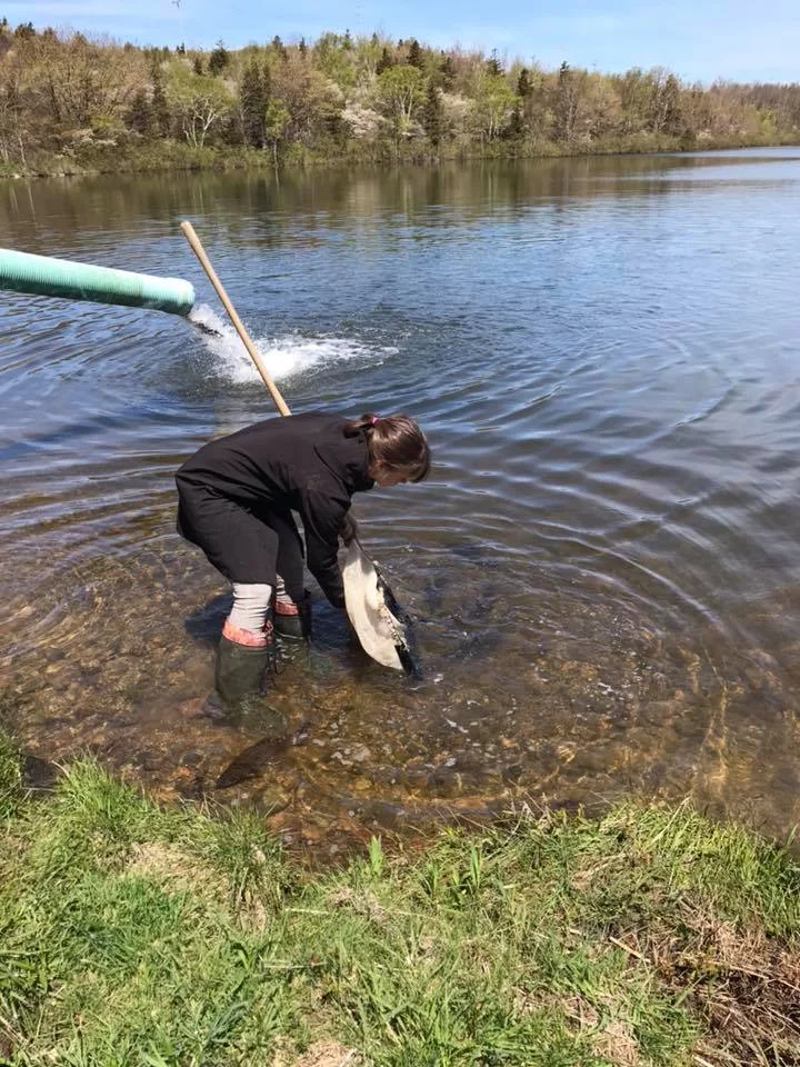 Petit Lac 2.jpg