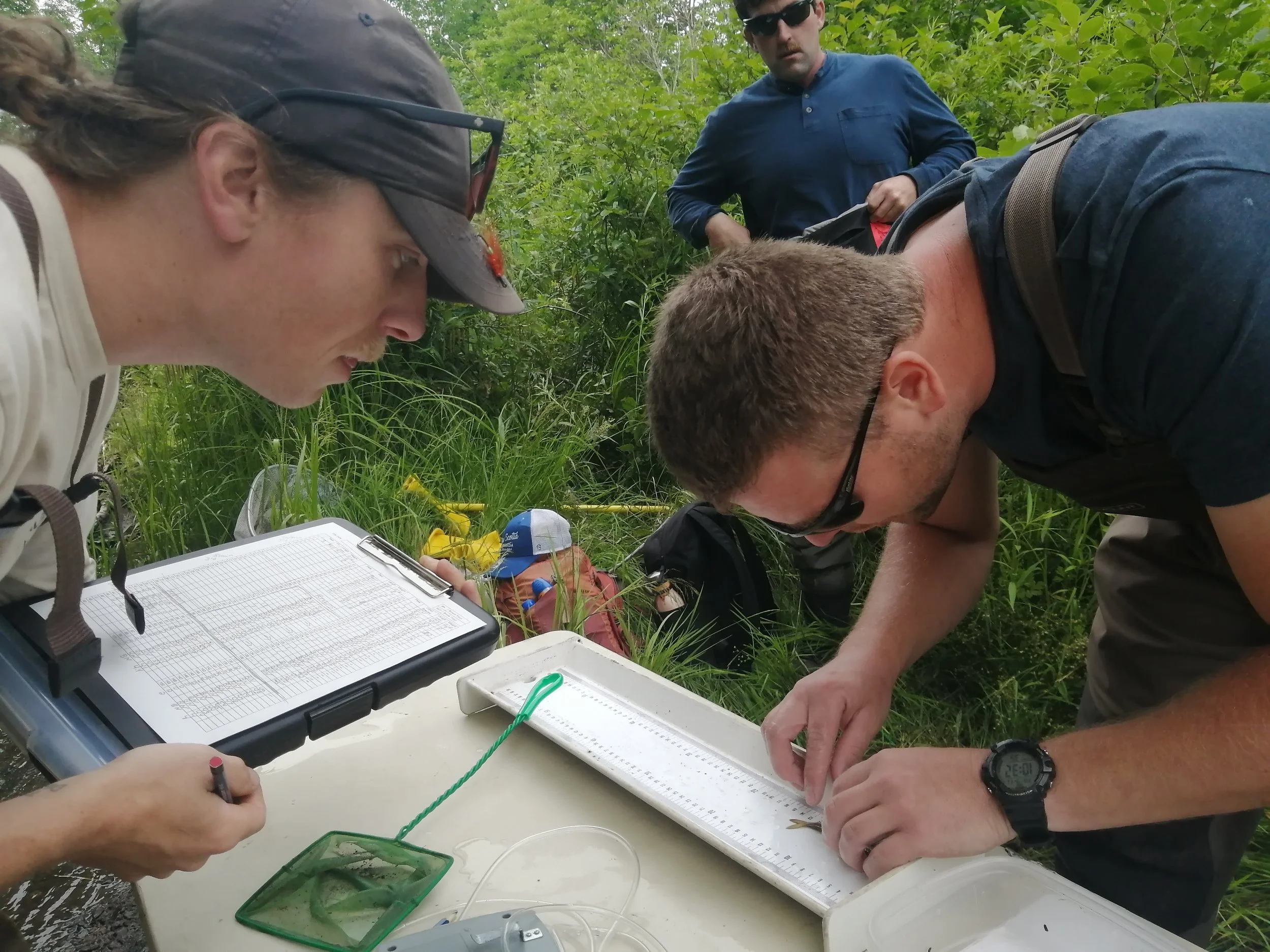 Fish Analysis