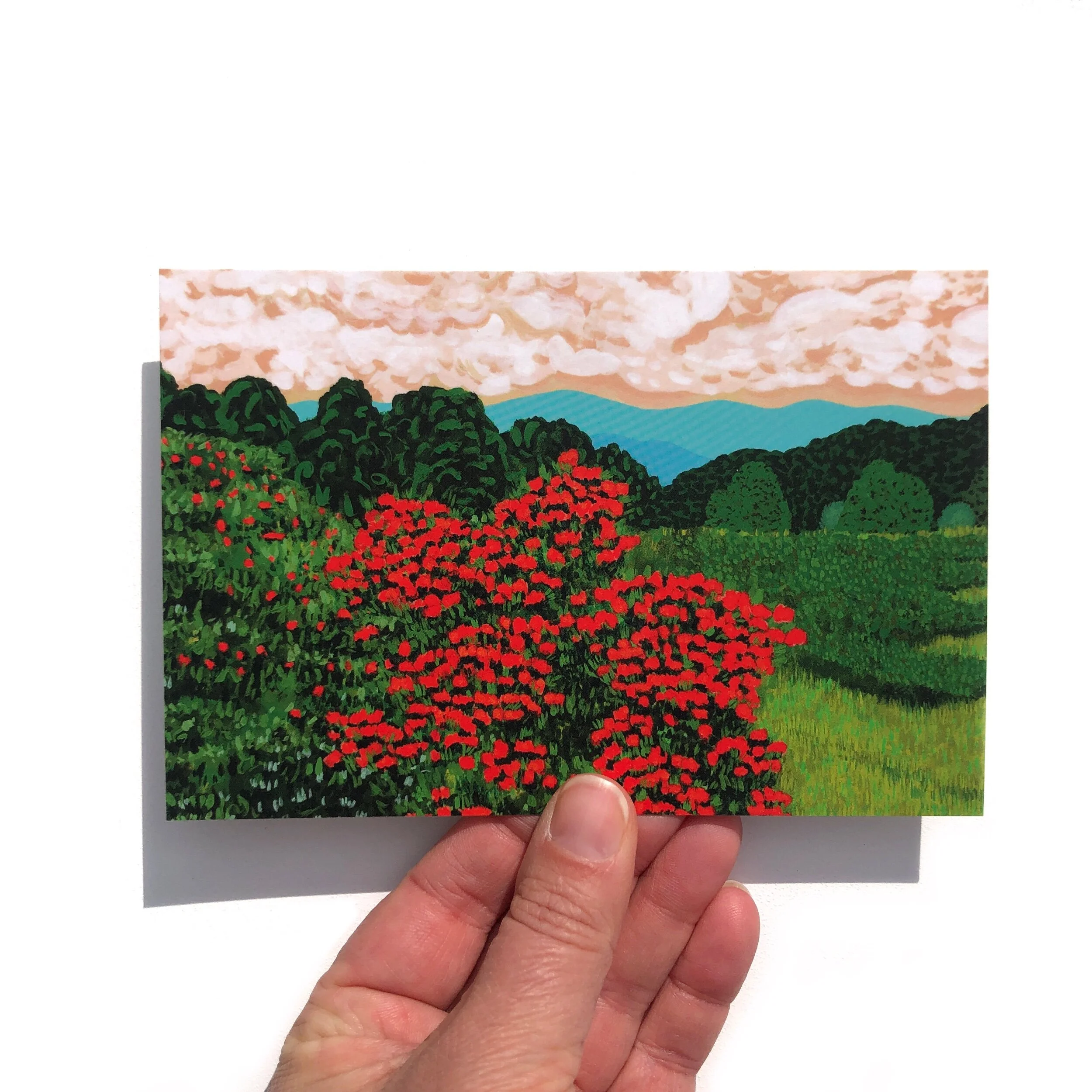 FDCAE88B-41E4-48FC-9DA0-FE7E4083D47D