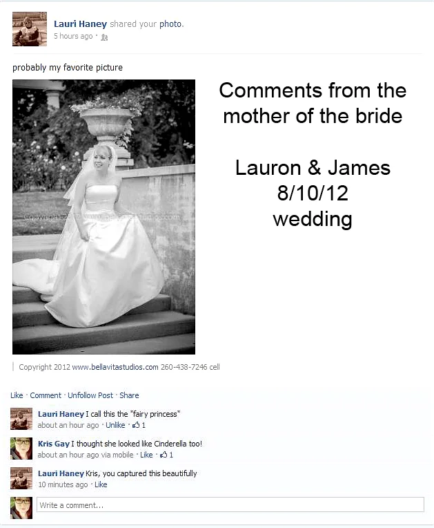 testimonial-fort-wayne-indianapolis-wedding-photographers-photography-20120810-bride-lakeside-gardens1