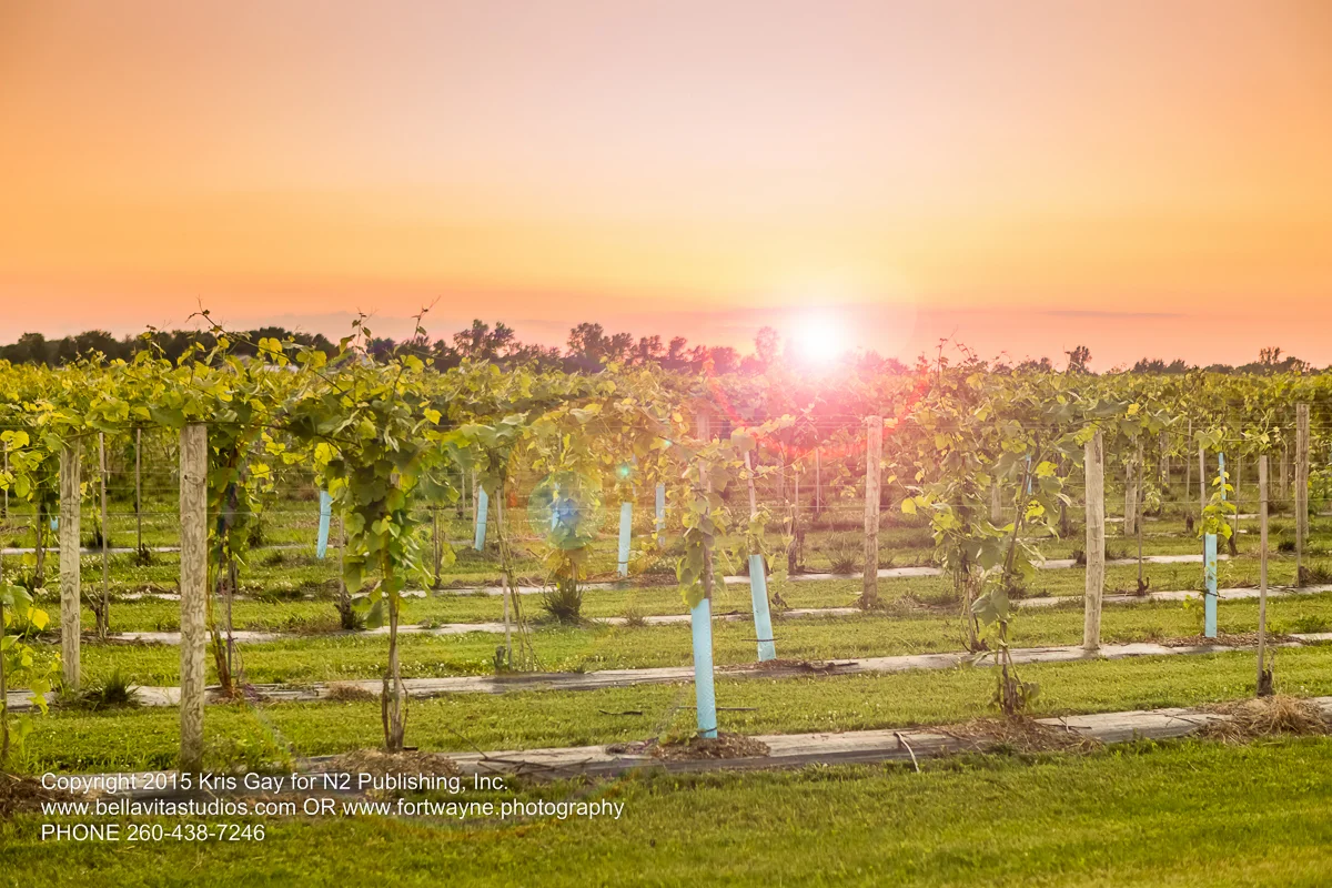 fort-wayne-commercial-photographers-photography-photos-20150723-country-heritage-winery-vineyard-1181