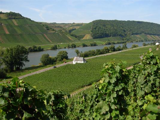 The Martyr's Chapel in the Neumagener Rosengärtchen vineyard