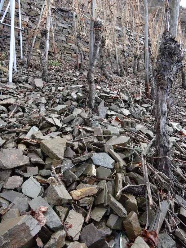 Gray slate in Knebel's terraced Uhlen vineyard (photo courtesy of Louis/Dressner Selections )
