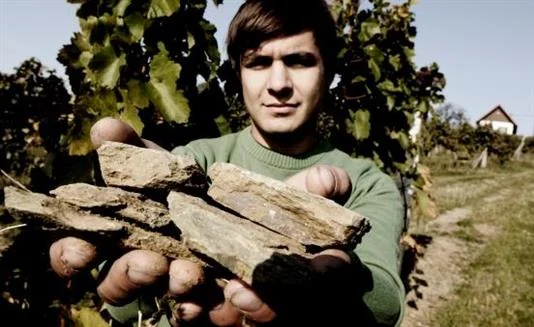 Christoph Wachter-Wiesler shows off the slate of the Eisenberg in Austria's Sudburgenland.