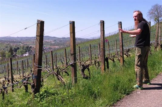 Sven Enderle grew up in Ettenheim and is now among the few working these old vine parcels (photo by J. Kemp)