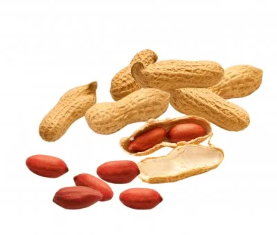 peanuts.jpg