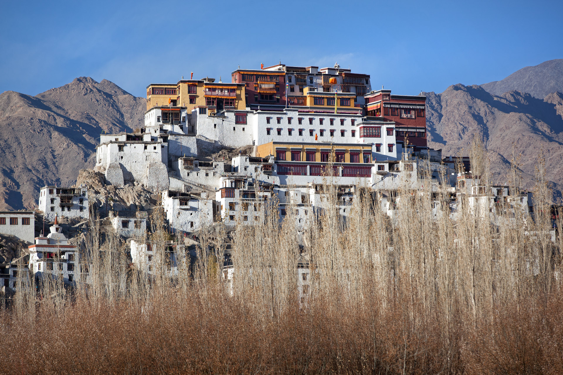 India-Ladakh-Travel-Leh-Thiksey-Buddhist-Monastery-2.JPG