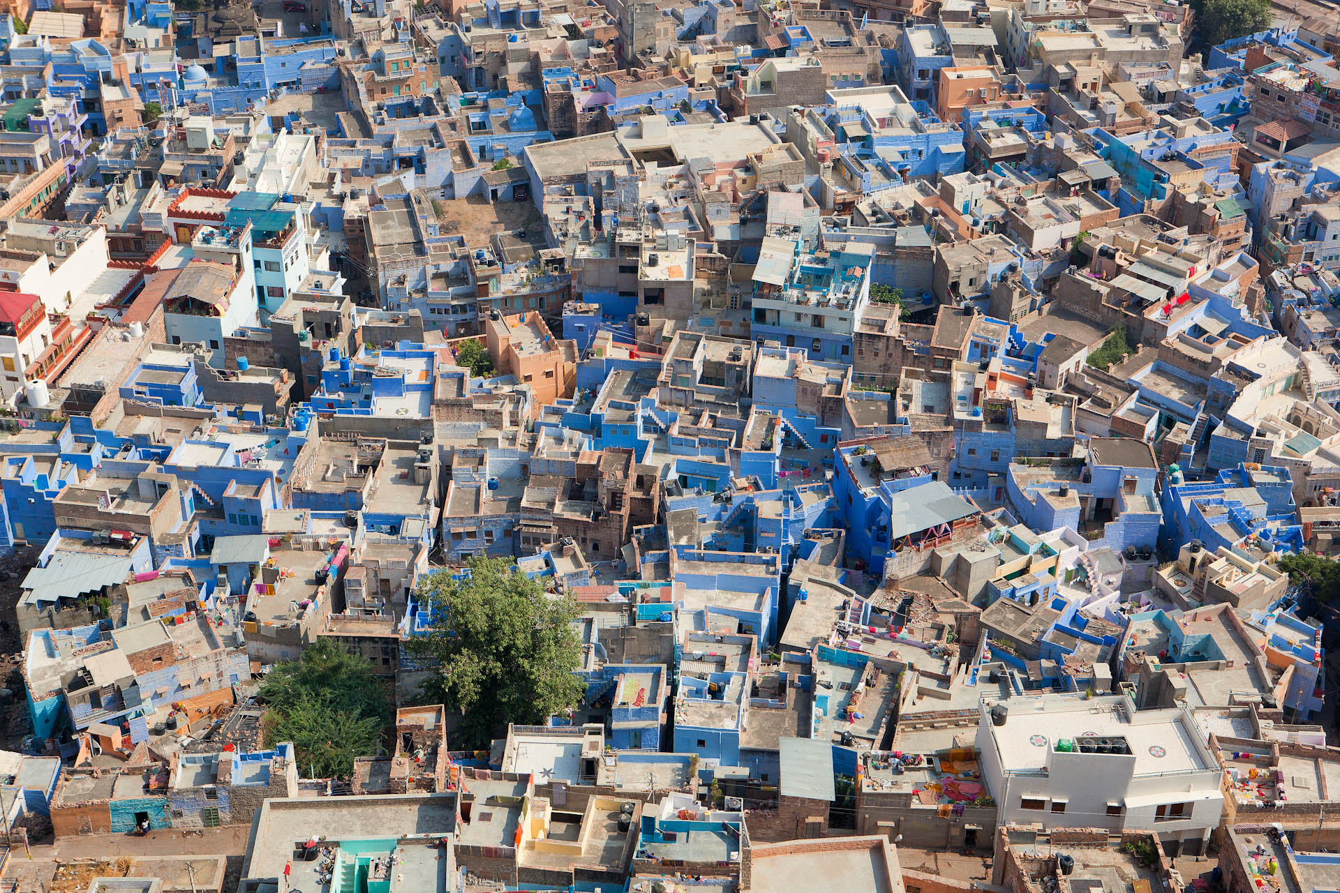 India-Travel-Rajasthan-Jodhpur-Blue-City_2.JPG