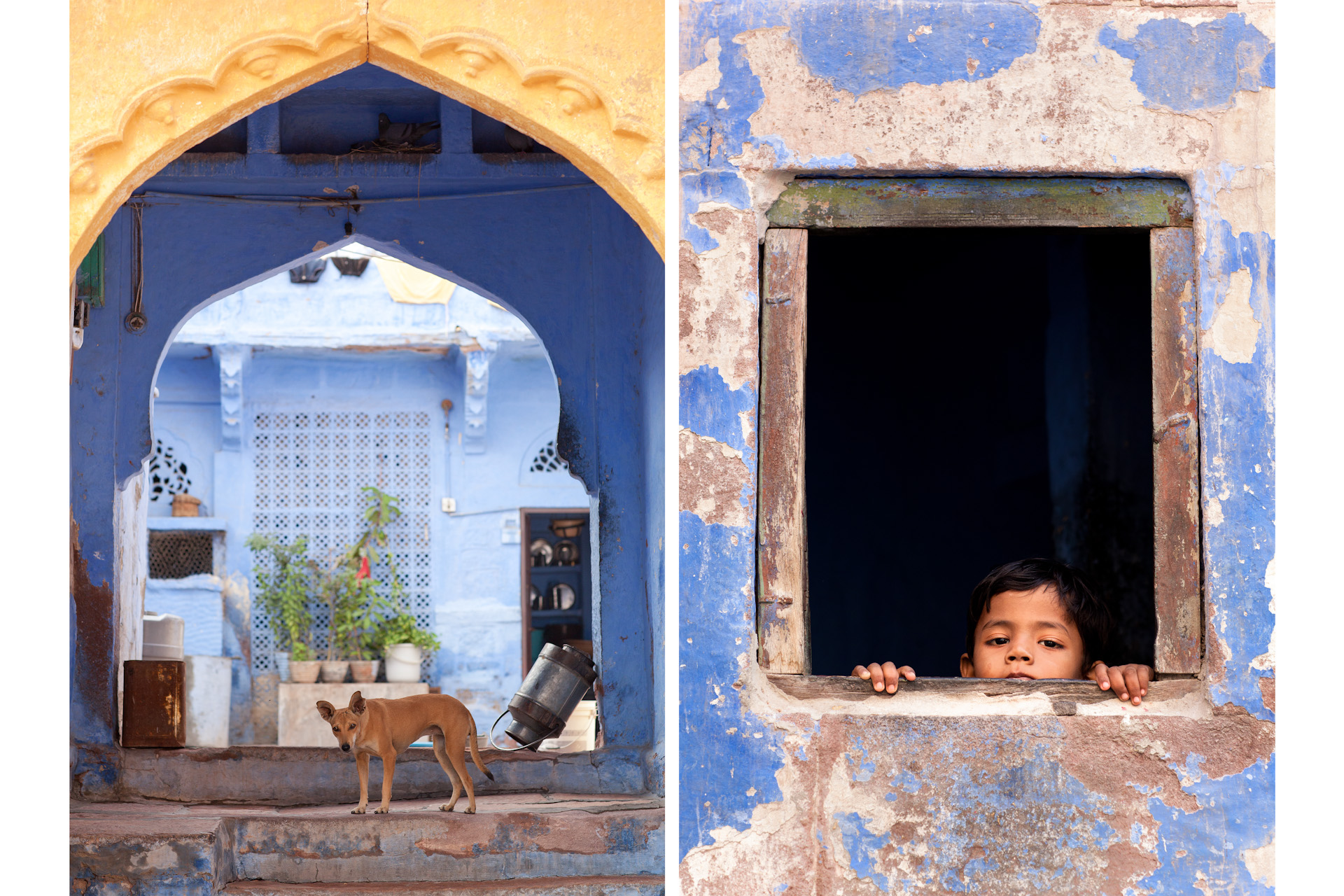 India-Travel-Rajasthan-Jodhpur-Blue-Portrait-4.JPG