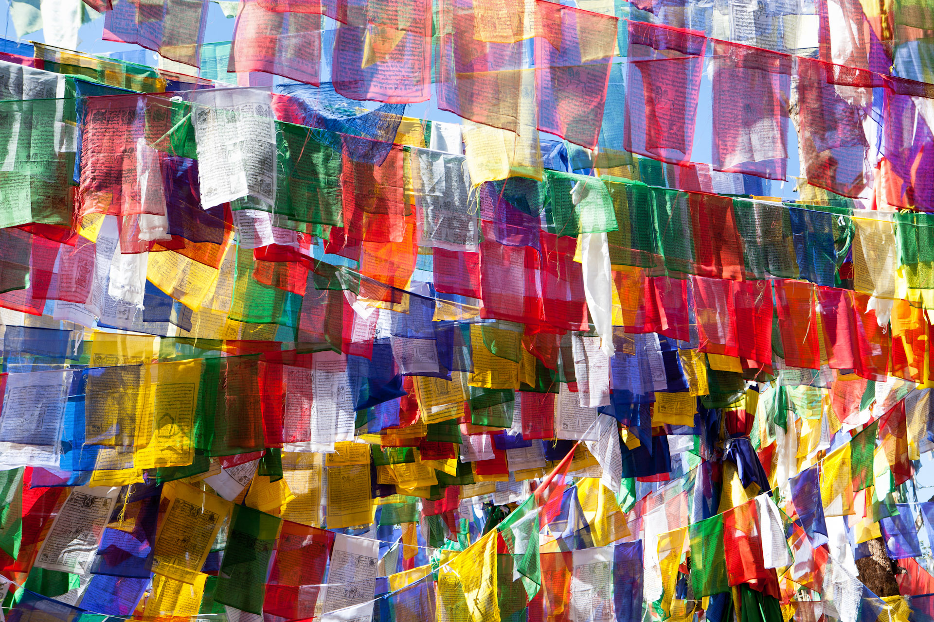 India-Darjeeling-Travel-Sikkim-Prayer-Flags-Jason-Bax.JPG