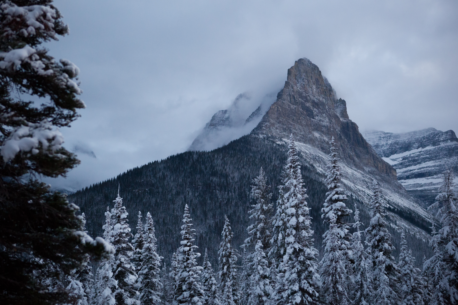 Landscape-Jason-Bax-Glacier_Montana_8686.JPG