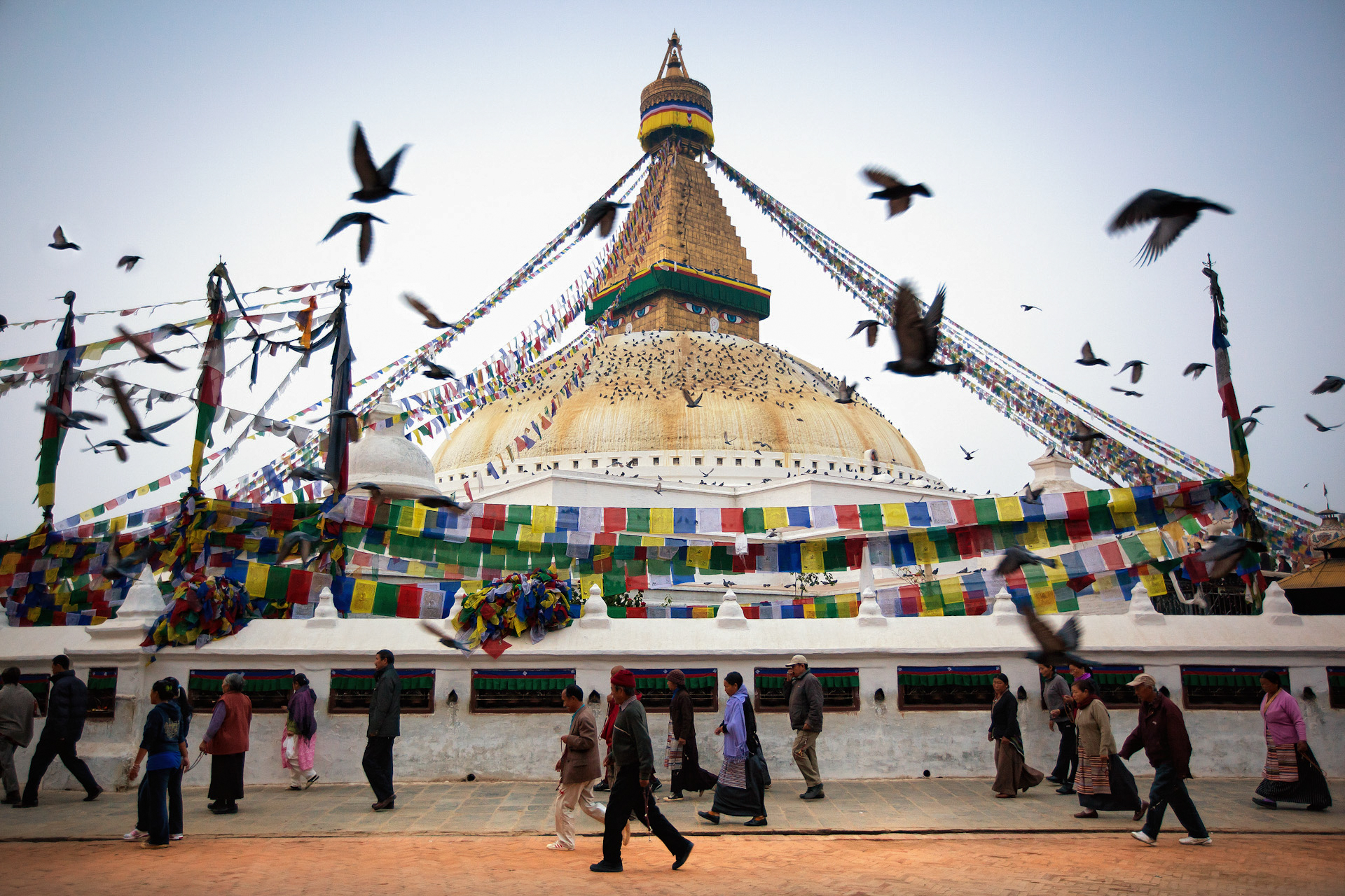 Jason_Bax_Travel_Nepal-Kathmandu-Boudhanath-Temple-Birds_1.jpeg