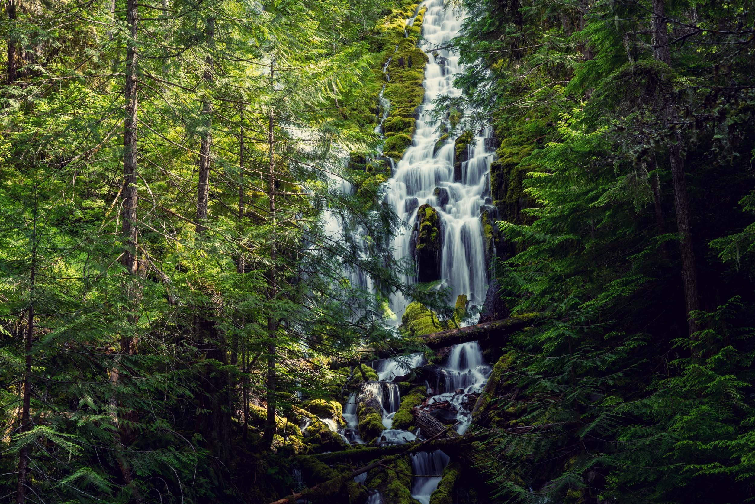 Jason_Bax_SQ_Landscape_Oregon_Waterfall20190702-_BA73060.jpg